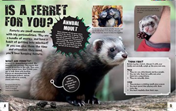 The Pet To Get Ferret - Colson Rob [KSIĄŻKA]