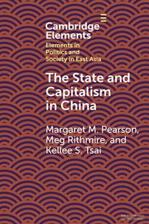The State And Capitalism In China - Tsai Kellee [KSIĄŻKA]