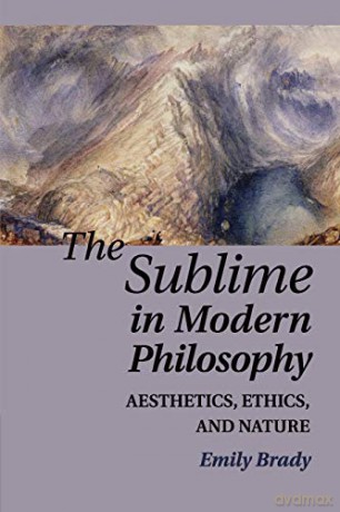 The Sublime In Modern Philosophy - Brady Emily [KSIĄŻKA]