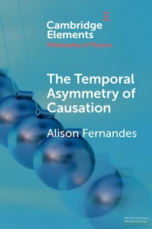 The Temporal Asymmetry Of Causation - Fernandes Alison [KSIĄŻKA]