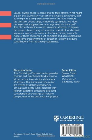 The Temporal Asymmetry Of Causation - Fernandes Alison [KSIĄŻKA]