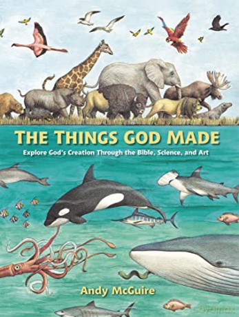 The Things God Made - Mcguire Andy [KSIĄŻKA]