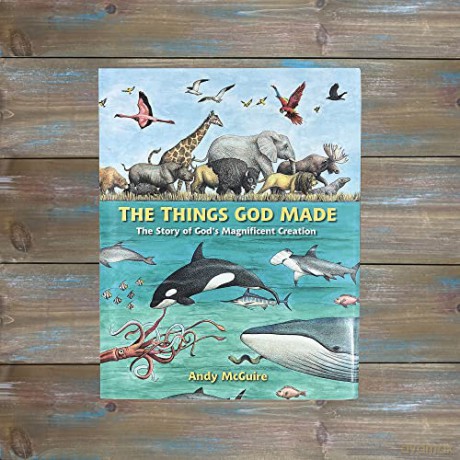 The Things God Made - Mcguire Andy [KSIĄŻKA]