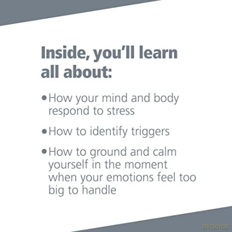 The Trauma And Adversity Workbook For T - Gina M Biegel Stacie [KSIĄŻKA]