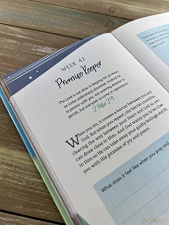 The Weekly Prayer Project For Kids - Kalindi Kat [KSIĄŻKA]
