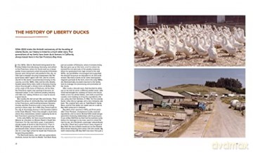 The Whole Duck - Jennifer Reichardt [KSIĄŻKA]