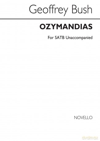 Theory Is Fun Grade 1 Activity Bk 1 [KSIĄŻKA]
