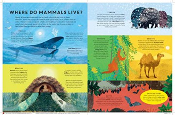 There Are Mammals Everywhere - Camilla Bedoyere [KSIĄŻKA]