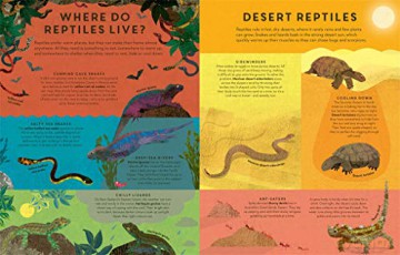 There Are Reptiles Everywhere - C De La Bedoyere [KSIĄŻKA]