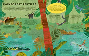 There Are Reptiles Everywhere - C De La Bedoyere [KSIĄŻKA]