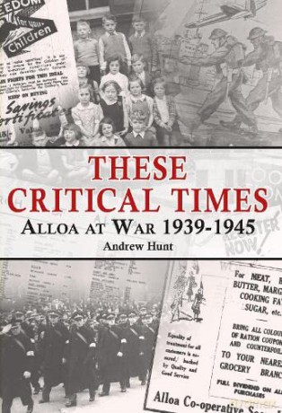 These Critical Times - Andrew Hunt [KSIĄŻKA]