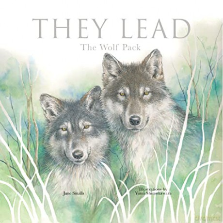 They Lead - June Smalls [KSIĄŻKA]