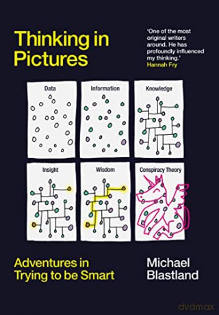 Thinking In Pictures - Michael Blastland [KSIĄŻKA]