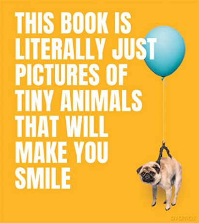 This Book Is Literally Just Pictures Of [KSIĄŻKA]