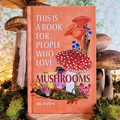 This Is A Book For People Who Love Mush - Meg Madden [KSIĄŻKA]
