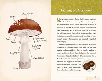 This Is A Book For People Who Love Mush - Meg Madden [KSIĄŻKA]