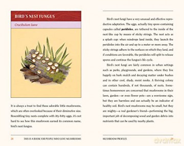 This Is A Book For People Who Love Mush - Meg Madden [KSIĄŻKA]