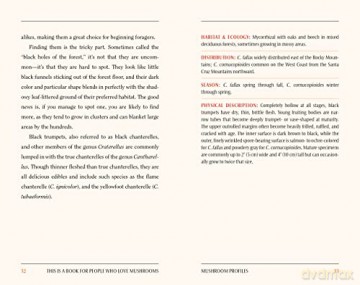 This Is A Book For People Who Love Mush - Meg Madden [KSIĄŻKA]