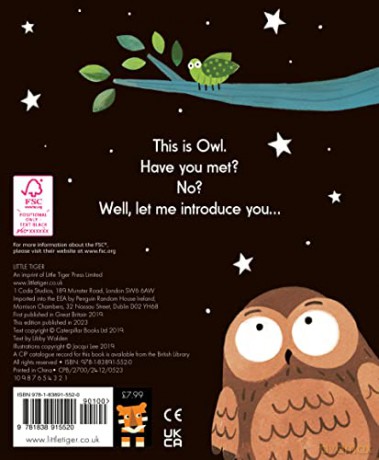 This Is Owl - Libby Walden [KSIĄŻKA]