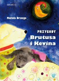 Przygodyutusa I Kevina - Drzazga M. [KSIĄŻKA]