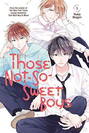 Those Not So Sweet Boys 1 - Yoko Nogiri [KSIĄŻKA]