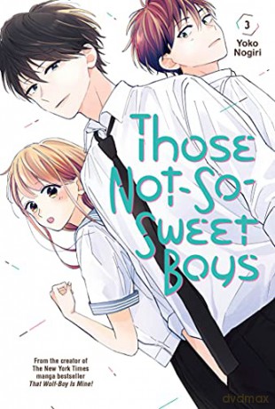 Those Not So Sweet Boys 3 - Yoko Nogiri [KSIĄŻKA]