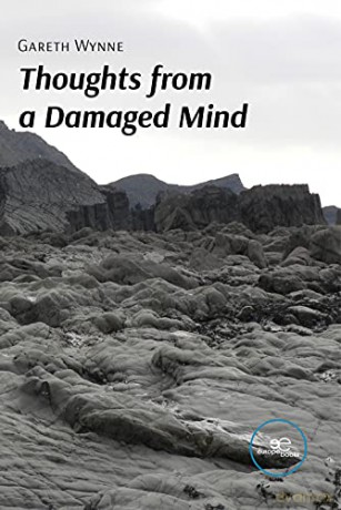 Thoughts From A Damaged Mind: 2021 [KSIĄŻKA]
