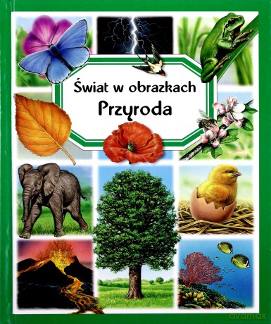 Przyroda. Świat W Obrazkach [KSIĄŻKA]