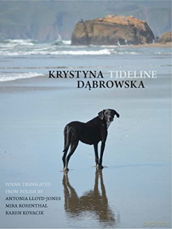 Tideline [KSIĄŻKA]