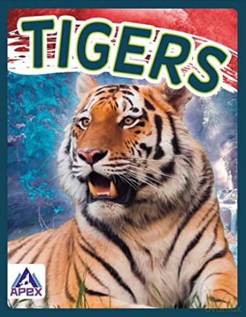 Tigers - Sophi Geister-Jones [KSIĄŻKA]