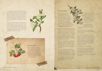 Time Travellers Herbal - Amanda Edmiston [KSIĄŻKA]