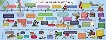 Time Travellers The Welsh History Activi - Tanwen Haf [KSIĄŻKA]