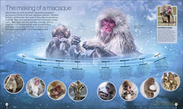 Timelines Of Nature [KSIĄŻKA]