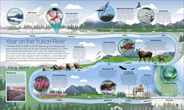 Timelines Of Nature [KSIĄŻKA]