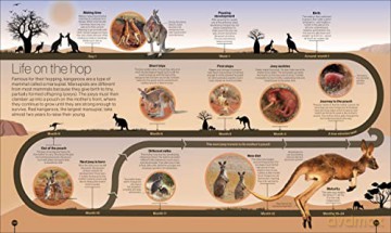 Timelines Of Nature [KSIĄŻKA]