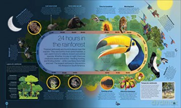 Timelines Of Nature [KSIĄŻKA]