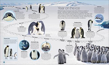 Timelines Of Nature [KSIĄŻKA]