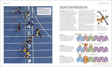 Timelines Of Science [KSIĄŻKA]