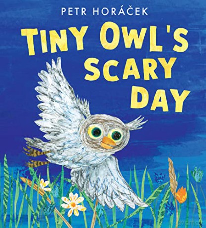Tiny Owls Scary Day - Petr Horacek [KSIĄŻKA]