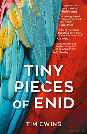 Tiny Pieces Of Enid - Tim Ewins [KSIĄŻKA]