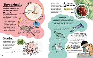 Tiny Science Microscopic Creatures - Anna Claybourne [KSIĄŻKA]