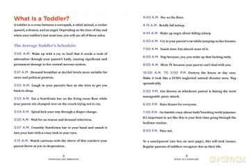 Toddlers Are Aholes Its Not Your Fault - Bunmi Laditan [KSIĄŻKA]