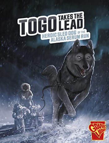 Togo Takes The Lead - Bruce Berglund [KSIĄŻKA]