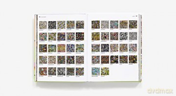 Tokidoki The Art Of Simone Legno - Simone Legno [KSIĄŻKA]