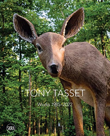 Tony Tasset - Michelle Grabner An [KSIĄŻKA]