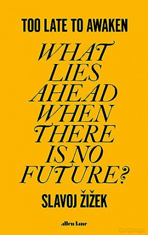 Too Late To Awaken - Slavoj Zizek [KSIĄŻKA]