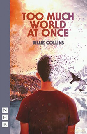 Too Much World At Once - Billie Collins [KSIĄŻKA]