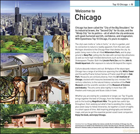 Top 10 Chicago - Dk Eyewitness [KSIĄŻKA]