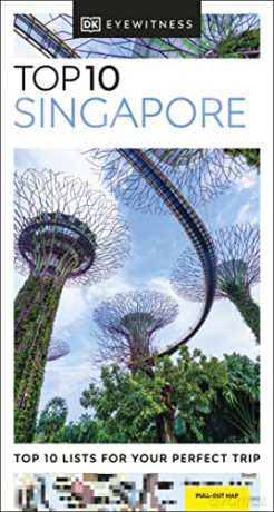 Top 10 Singapore [KSIĄŻKA]