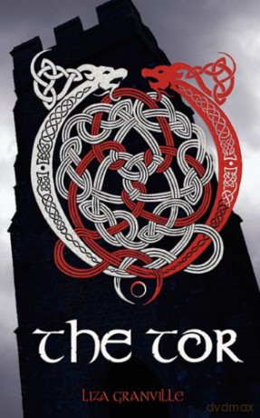 Tor Firm [KSIĄŻKA]